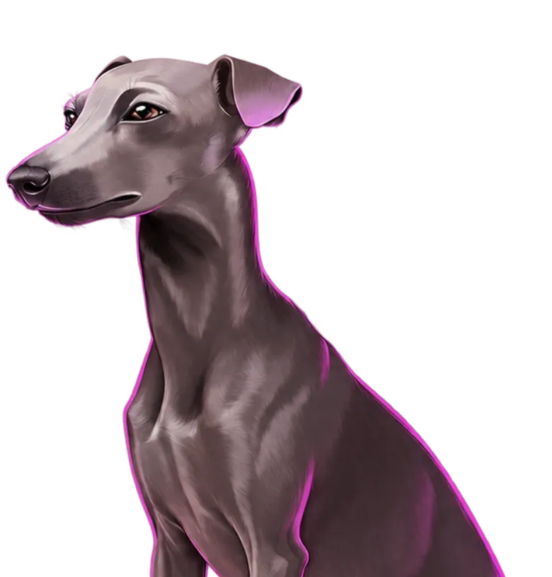 Iggy Racing mobile action banner character