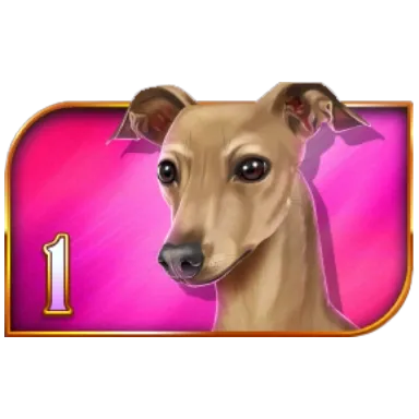 Iggy Racing specifications mascot