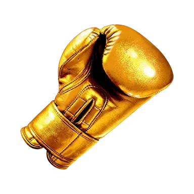 Lucky Punch specifications mascot
